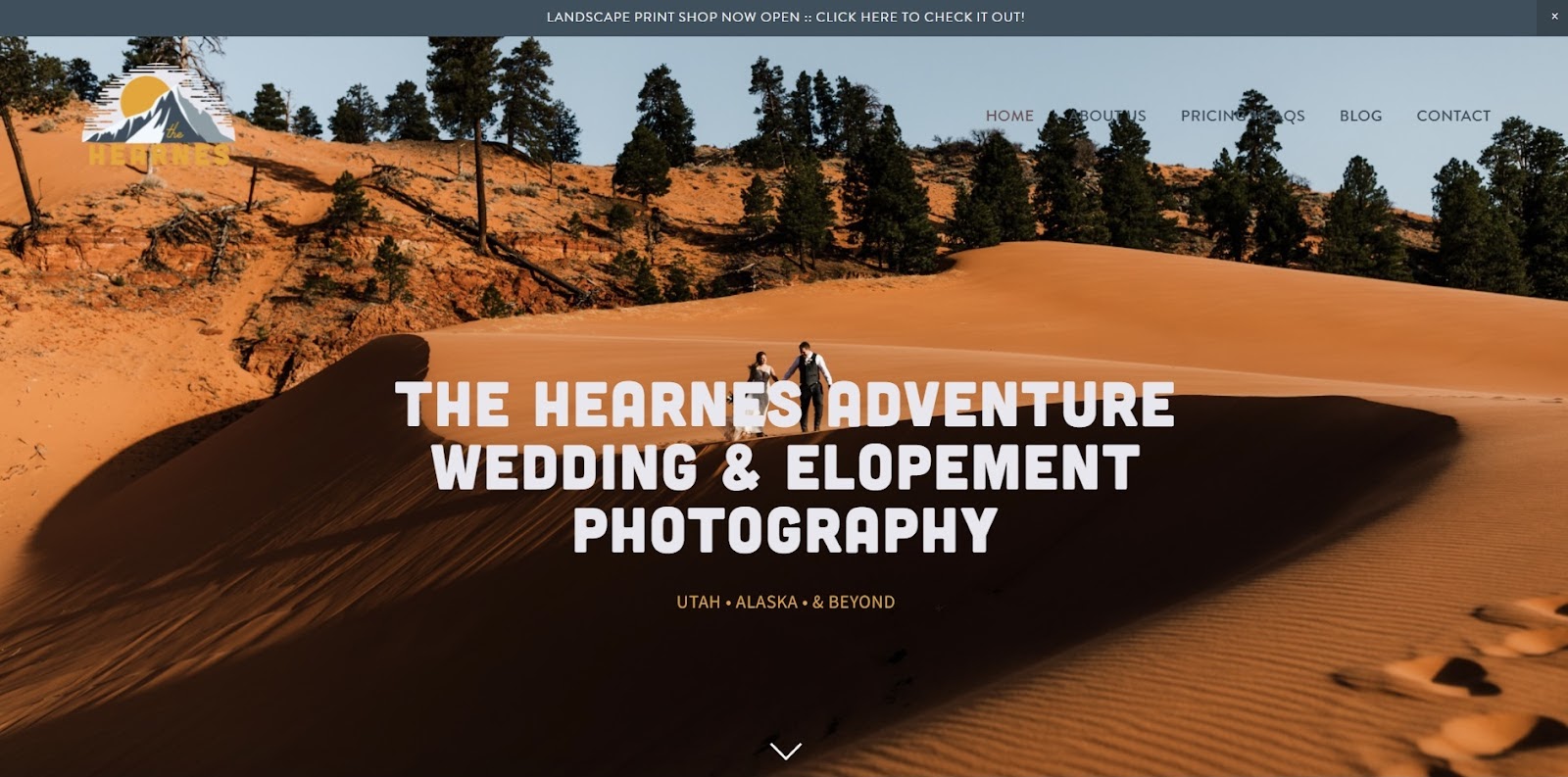 photography websites ideas